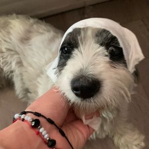 Meet your Posher, Catherine